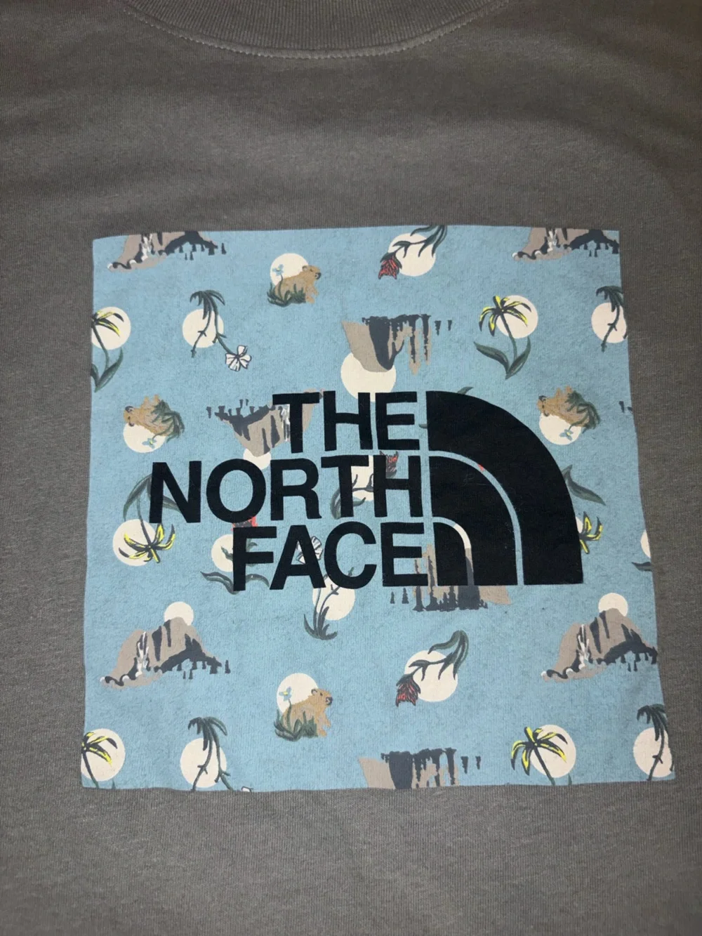The North Face Olive Green Graphic Logo Tee